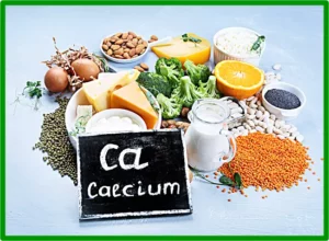 칼슘의 중요성과 역할, 섭취 방법과 식품, 부족 증상